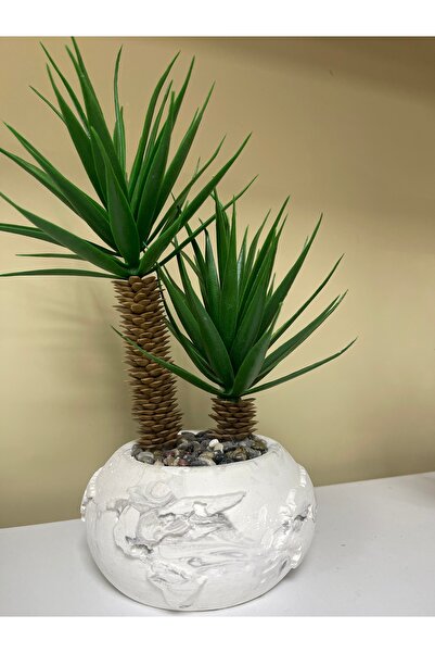 ALTUBE Seramik saksıda ikili Aloe Vera