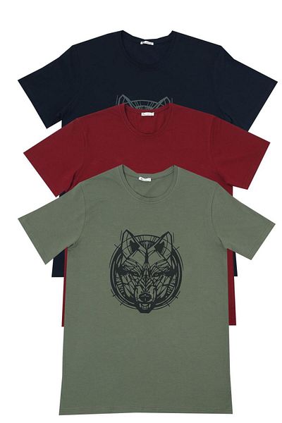 Tom John Ανδρικό T-Shirt Wolf Printed Σετ 3 MIXCOLOR
