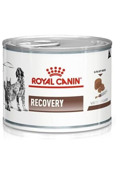 Royal Canin ROYAL CANIN | RECOVERY Ultra Soft Mousse - Diabetic Dogs & Cats | 195 gm *12 Cans