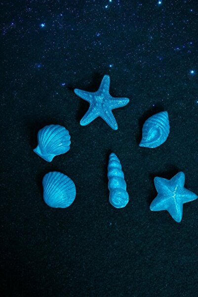 Home Deniz Yıldızı Magnet Seti