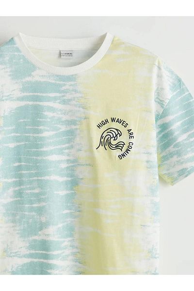 LC Waikiki Lcw Kids Sari Crew Neck Printed Boy's T-Shirt