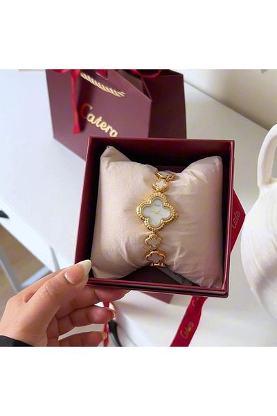 catera Women's watch with rose frame and gold-colored steel strap