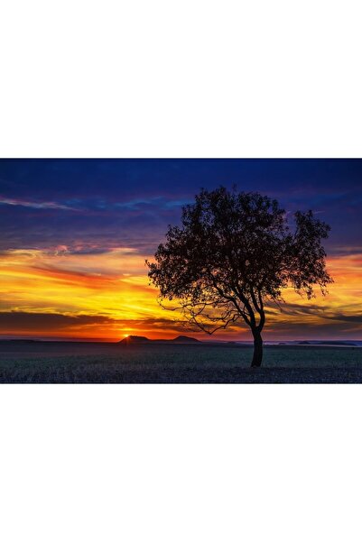 ve Tablou Canvas, Culori in apus, 80 x 50 cm, Rama lemn, Multicolor