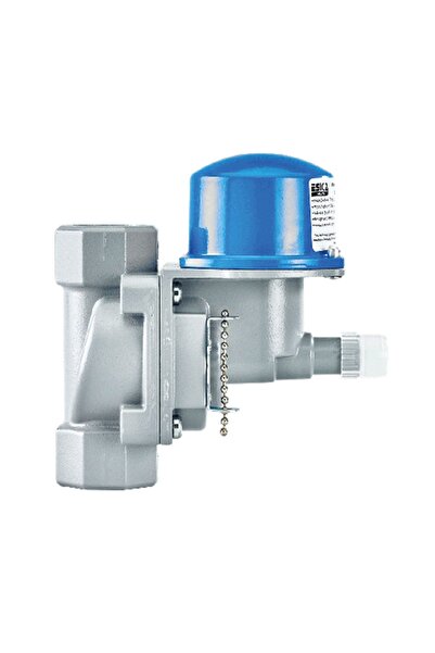 Eska Mekanik Deprem Vanası DN40-11/2" MDV05