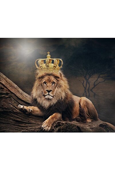 ve Tablou Canvas, Leu, rege, maretie, 80 x 60 cm, Multicolor