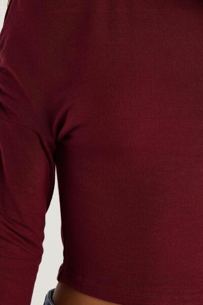 Tudors Women's Slim Fit Slim Fit Boat Neck Viscose Burgundy Blouse
