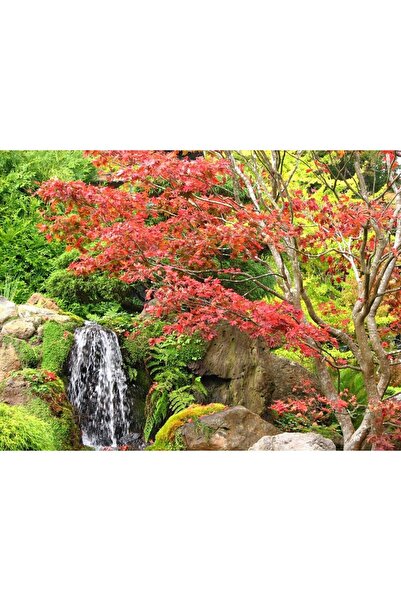 ve Tablou Canvas,Cascada, Feriga 1783, 80 x 60 cm, Rama lemn, Multicolor