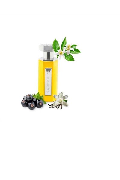 Reef عطر سمر يلو من ريف 100مل