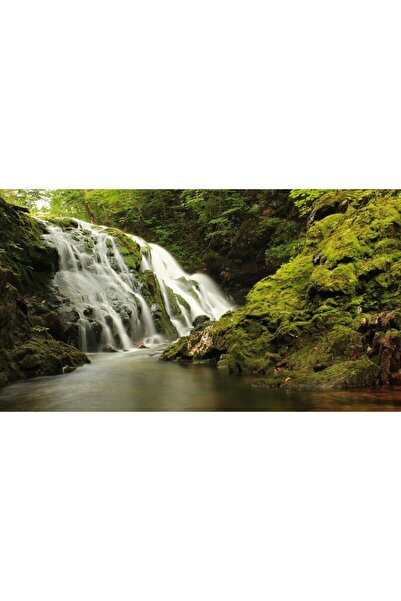 ve Tablou Canvas, Cascada, 90 x 50 cm, Rama lemn, Multicolor