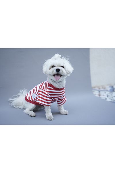 Oli and Lui Red White Striped Dog Tshirt