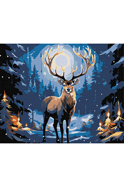 İZSA HOBİ Sayılarla Boyama Hobi Seti 40x50 Çerçeveli Numaralı Tuval Fırça Boy...