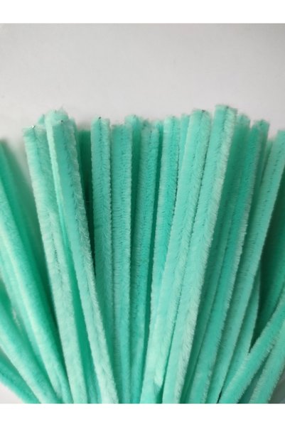 hyc heryerçiçeklenir 50 Pieces Mint Green Chenille, Feathered Wire Suitable for Flower Making, 30 cm 6mm