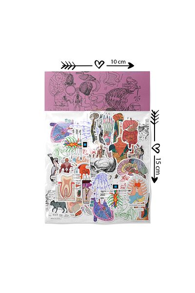 dadi ramba anatomie - Bullet Journal - Agenda - Planificator - Caiet - Autocolant pentru laptop - Pachet de autocolante