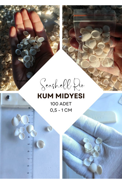 Seashell Rio Doğal Kum Midyesi 100 Adet Minik Deniz Kabukları (0,5 - 1 CM)