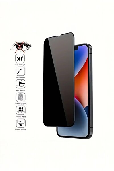 ProNorth Iphone 16 Uyumlu Hayalet Ekran Koruyucu Tam Kapatan Gizli Temperli Cam