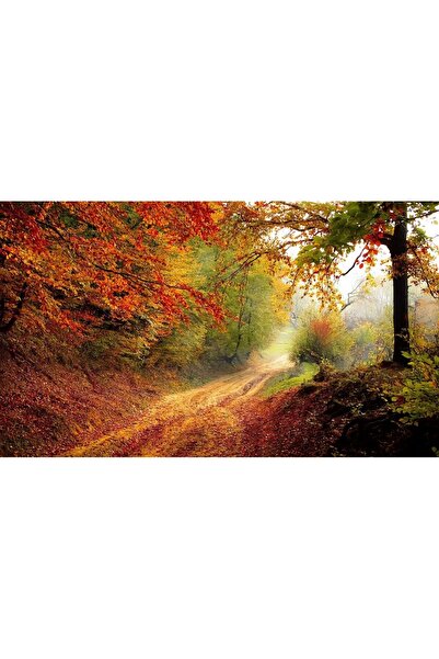 ve Tablou Canvas, Peisaj de toamna, 90 x 60 cm, Rama lemn, Multicolor