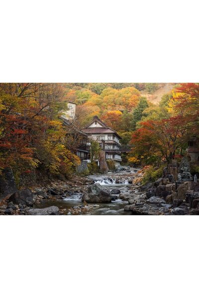 ve Tablou Canvas, Peisaj de toamna, 90 x 60 cm, Rama lemn, Multicolor