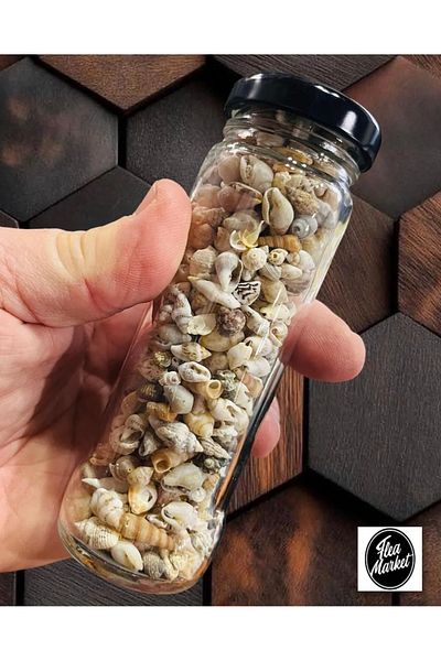 Artdeco Nassa Shell Real Tiny Seashells μέτρια. 250 τεμάχια - Χωρίς τρύπα - ( 0,30 - 1,50 mm )