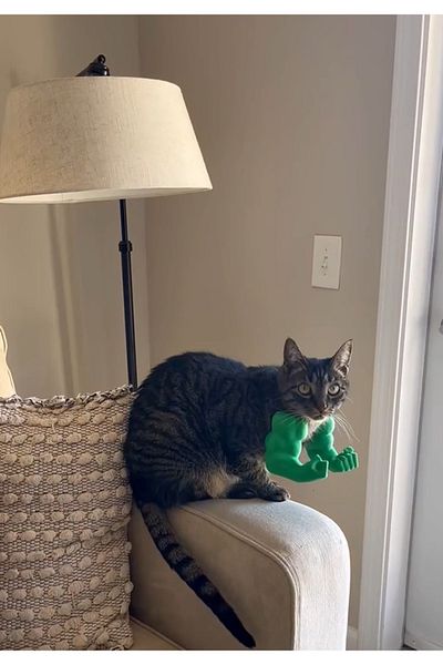 swordslife Cat Hulk Arm