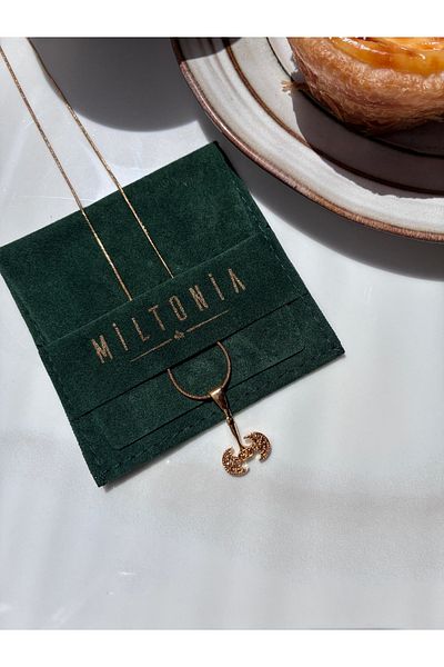Miltonia Labrys Double Headed Axe Steel Necklace