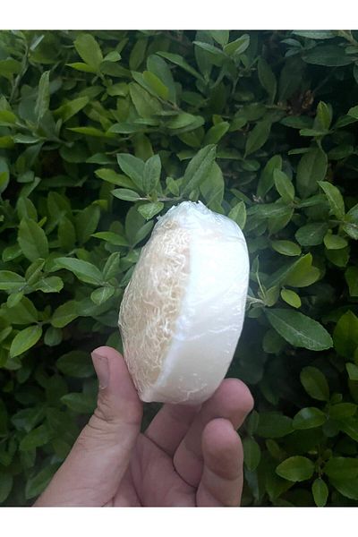aralmini Natural Pumpkin Fiber Turkish Bath Soap