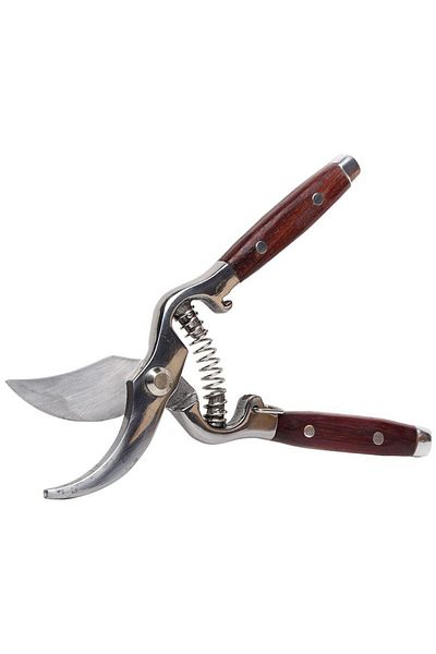 PROLINE Live Scissors With Spring And Wooden Handle / 25Mm