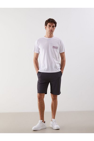 LC Waikiki Standard Fit Men's Shorts