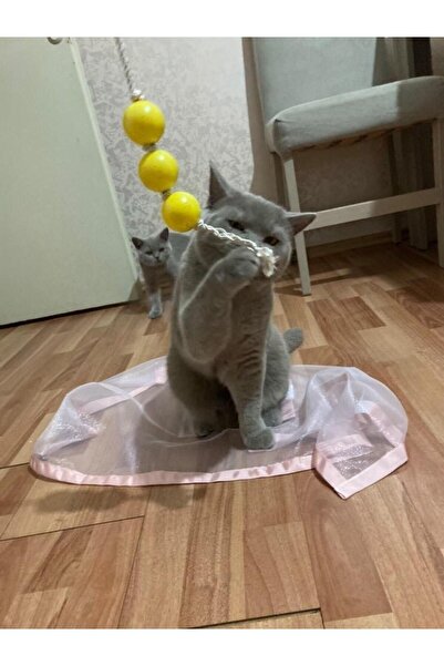 pawdaz Cloak (Pink) - Interactive Cat Toy