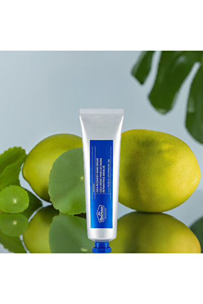 The Face Shop Dr. Belmer's Advanced Cica Recovery Hand Cream with Centella Asiatica Extract to Renew the Appearance of Skin