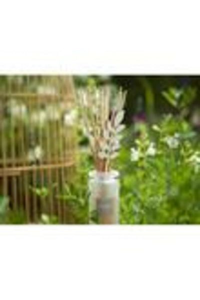 Esteban Paris Rezerva parfum 250ml Lemongrass&Mint