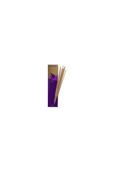 Esteban Paris Figue Noire Scented Sticks - Esteban Paris