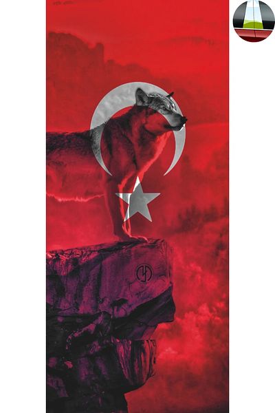 Happynesso Car Center Pole Sticker Turkish Flag Themed 20X45Cm Foil Print Right and Left Set