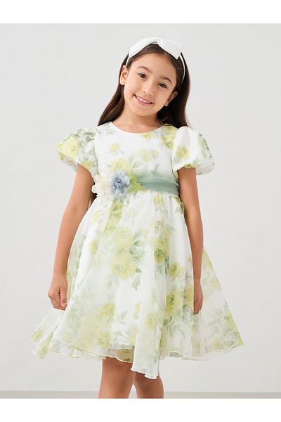 Styli Printed Organza Puff Sleeve Dress