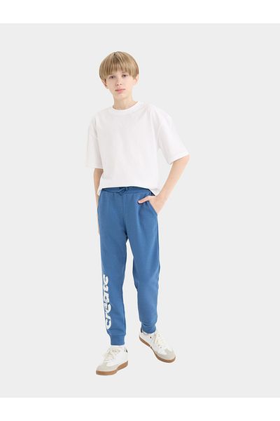 DeFacto Kids Blue Printed Jogger Pants