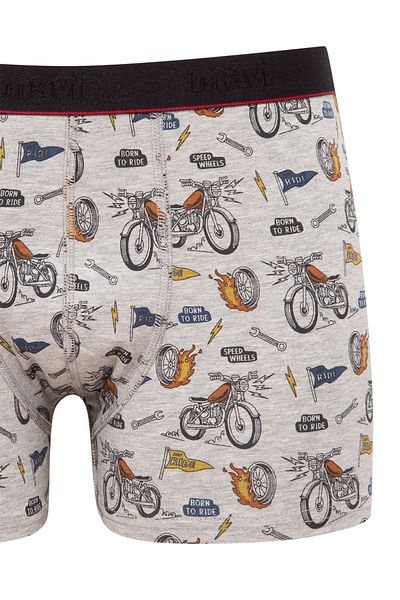 Mavi Printed Grey Boxer 0910723-82816