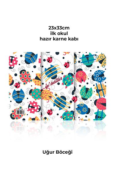 Kids Like Ladybug Carne Container - Carne Case 20 Pack