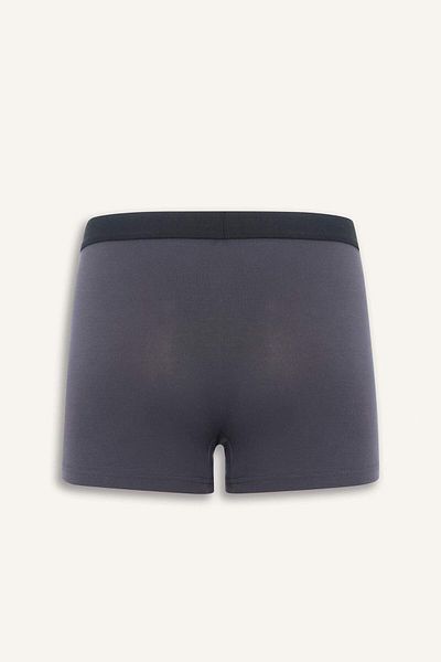 DeFacto Premium Regular Fit Modal Boxer Z7165Az25Sm