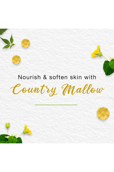 Himalaya Baby Cream 100 ml | Nourishing Daily Moisturizer for Soft, Smooth & Protected Baby Skin