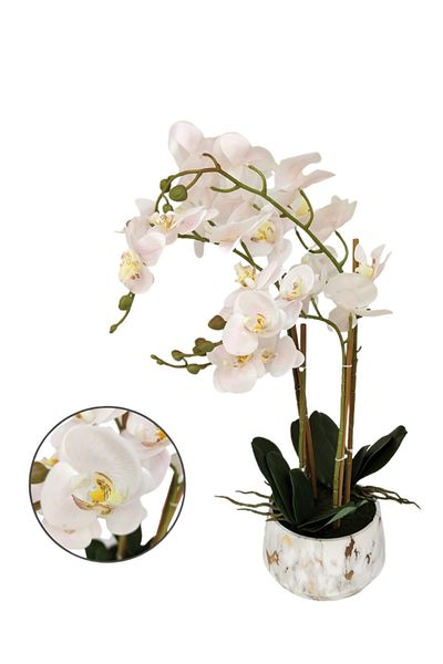 Living Multiple-stem white artificial orchid flowers, white pot, height 69 cm
