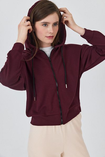 Rays Claret Red Zippered Hooded Sweatshirt with Stripe Detail 3045