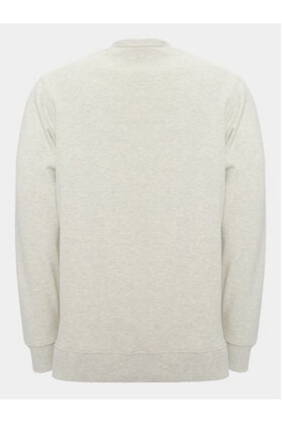 Dickies Mens Sweatshirt DK0A4XABH04 Gray