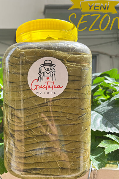 GN Gustolea Nature Manisa Sultaniye Ilk Hasat Ince Damarsız Salamura Uç Asma Yaprağı 2025 Yeni Sezon