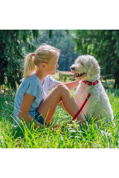 Nobby Soft Safety Lockable Dog Collar L/Xl 50/65 Cm; B: 25 mm