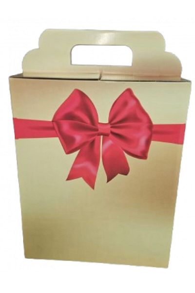 DanyCris Gold/Red All Season Cardboard Gift Box 260x135x325 mm
