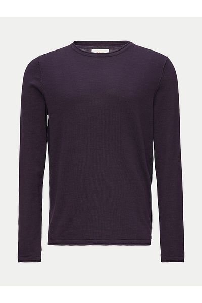 s.Oliver s oliver Men's Longsleeve 10.3.11.17.170.2150762 Purple