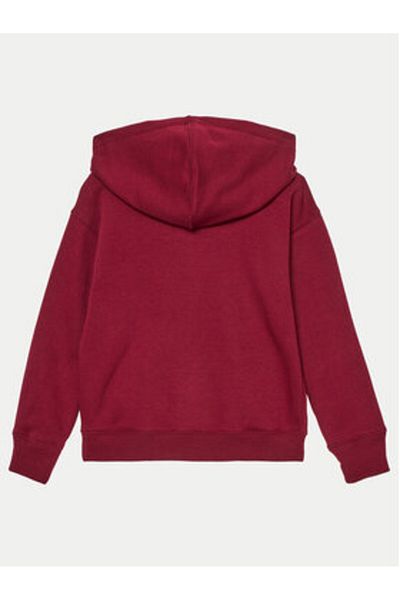 GAP Boy Sweatshirt 645395-00 Red