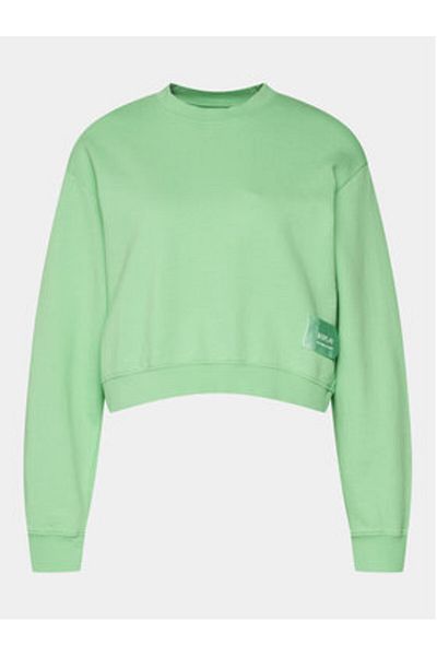 Replay Women's Sweatshirt W3104B.000.23650P Green