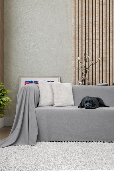Latuda Concept Anti-Slip Seat Cover Reversible Microfiber Chenille 175X300 cm Lead – Cat Dog and Child Friendly