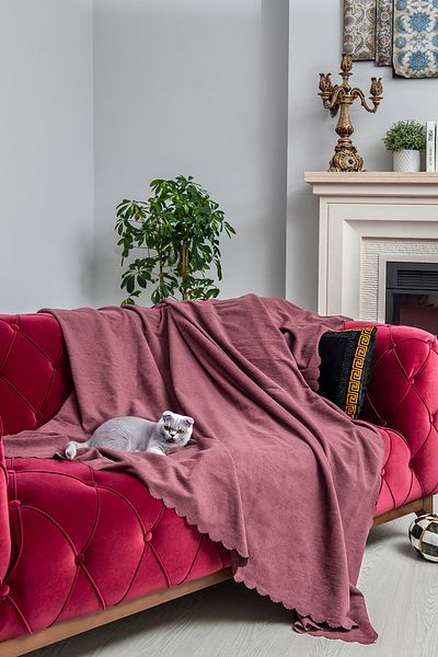 Latuda Concept Anti-Slip Seat Cover Reversible Microfiber Chenille 175X215 cm Rose – Cat Dog and Child Friendly
