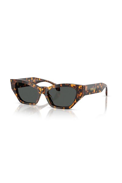 Versace Sunglasses Ve4488U 53 551487